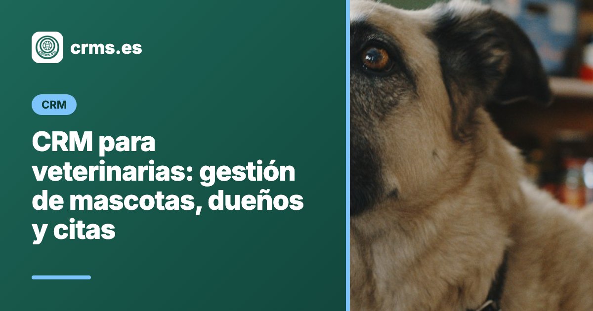 CRM para veterinarias